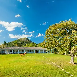  Bed & Breakfast Mountain Retreat